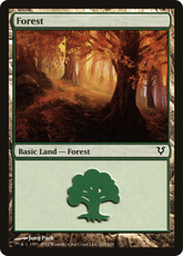 Floresta / Forest - Magic: The Gathering - MoxLand